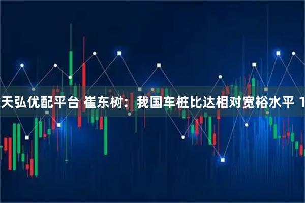 天弘优配平台 崔东树：我国车桩比达相对宽裕水平 1