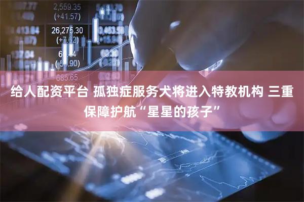 给人配资平台 孤独症服务犬将进入特教机构 三重保障护航“星星的孩子”