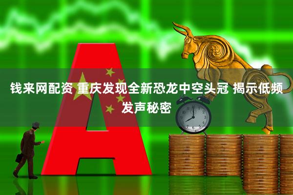 钱来网配资 重庆发现全新恐龙中空头冠 揭示低频发声秘密