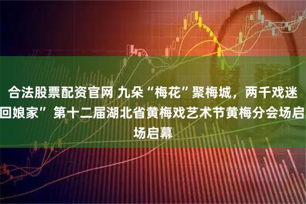 合法股票配资官网 九朵“梅花”聚梅城，两千戏迷“回娘家” 第十二届湖北省黄梅戏艺术节黄梅分会场启幕